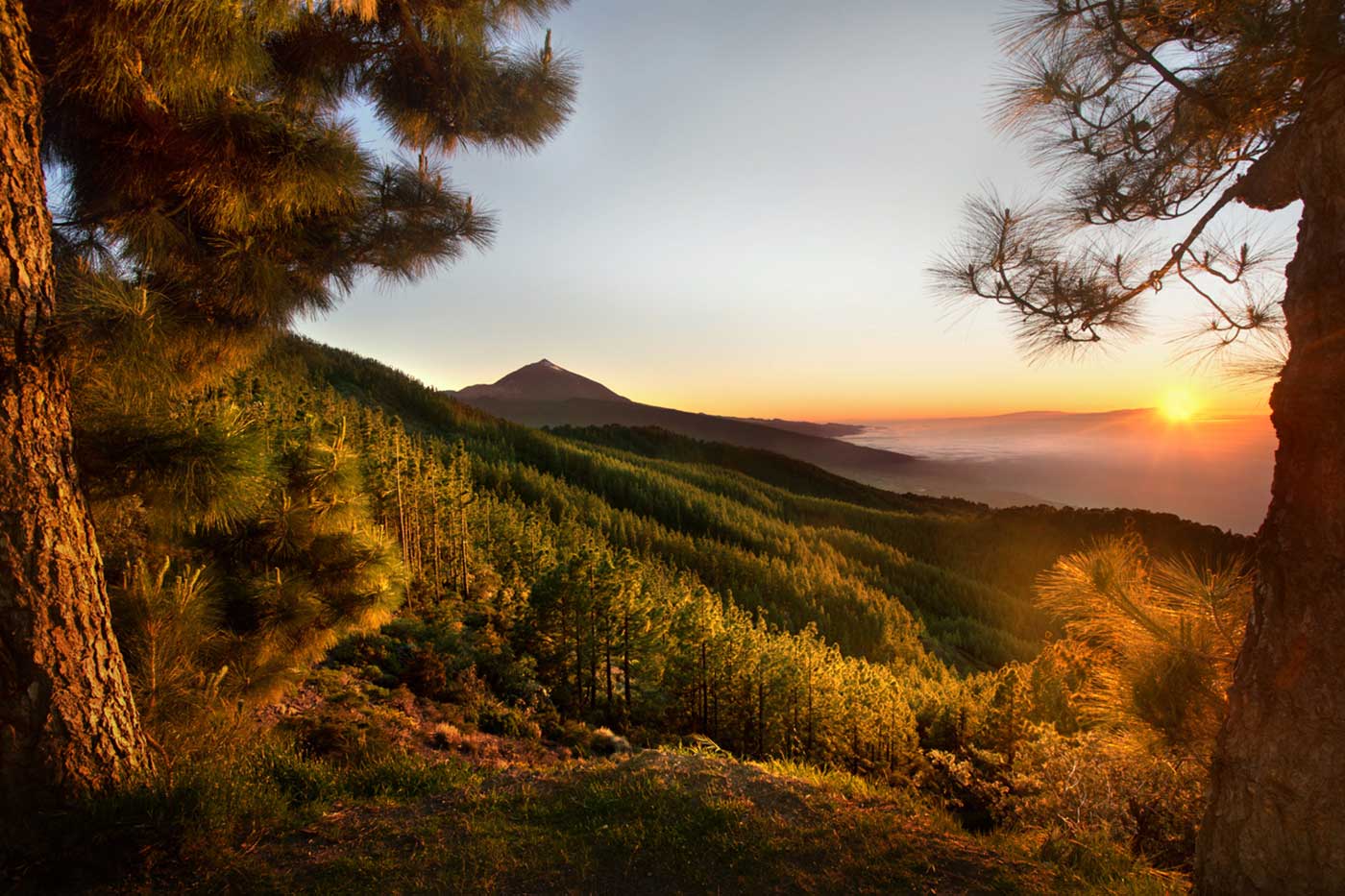 Blick auf den Teide Teneriffa